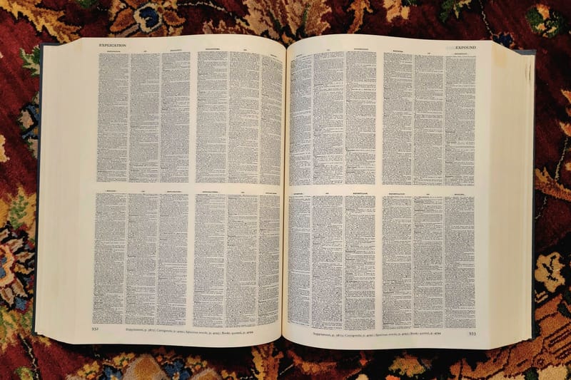 An open dictionary with dense columns of definitions lies on a patterned cloth.